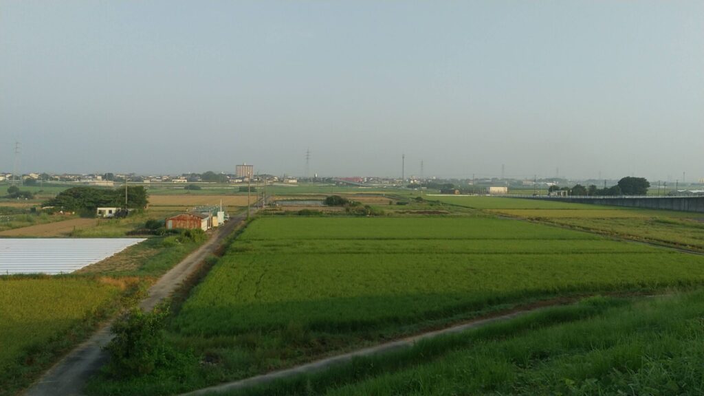 堤防上では見渡す限りの田んぼと畑